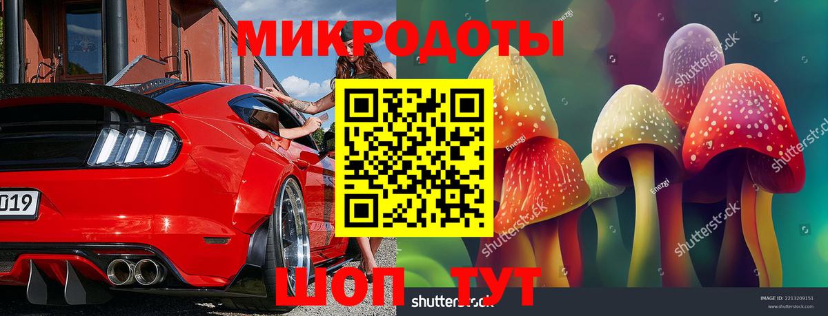 Галлюциногенные грибы GOLDEN TEACHER Соль-Илецк